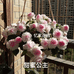 忆家花园