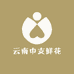 云南中支鲜花