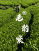 老韵窠茶业