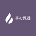 辛心甄选