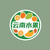云南特色水果店小金