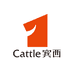 宾西官方旗舰店