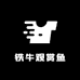 铁牛观赏鱼