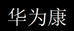 华为康齐专卖店