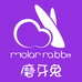 Molar Rabbit但以里内衣专卖店