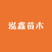 泓鑫苗木