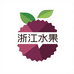 浙江特色水果严选店