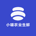 小喵农业生鲜店