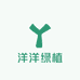 洋洋绿植