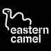 东方骆驼EASTERN CAMEL智腾鞋类专卖店