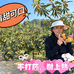 珍好味农产品中心