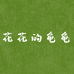 花花的龟龟