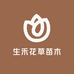 生禾花草苗木