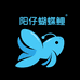 阳仔蝴蝶鲤