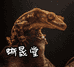 蜥晟堂爬宠