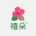 禧朵三角梅