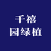 千禧园绿植