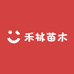 禾林苗木