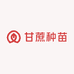广西甘蔗种苗