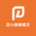 花小静蝴蝶兰