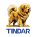 TINDAR
