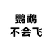 鹦鹉不会飞