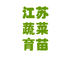 四季蔬果苗