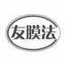 友膜法液晶电视保护屏
