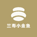 兰寿小金鱼
