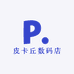 皮卡丘数码店