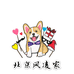 北京风凌家柯基