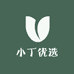 小丁优选