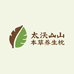 太行山长寿村的柏壳枕