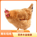 双龙生态土鸡