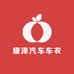 臻泽汽车用品有限公司