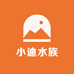 小迪水族