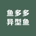 鱼乐圈异型鱼