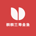 桐桐兰寿金鱼
