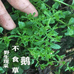 百货源严选