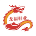 巴中市龙福鞋业有限公司