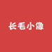 长毛小像