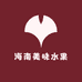 海南特产美味水果