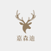 嘉森迪饰品有限公司
