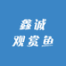 鑫诚观赏鱼优品店
