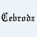 Cebrodz休闲男装旗舰店