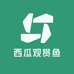 西瓜观赏鱼