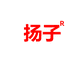 扬子小家电工厂