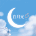 白月光轻奢饰品