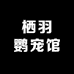 栖羽鹦宠馆