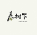 春树下 生活鲜花